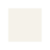 ColorWorks Premium Solid Vellum